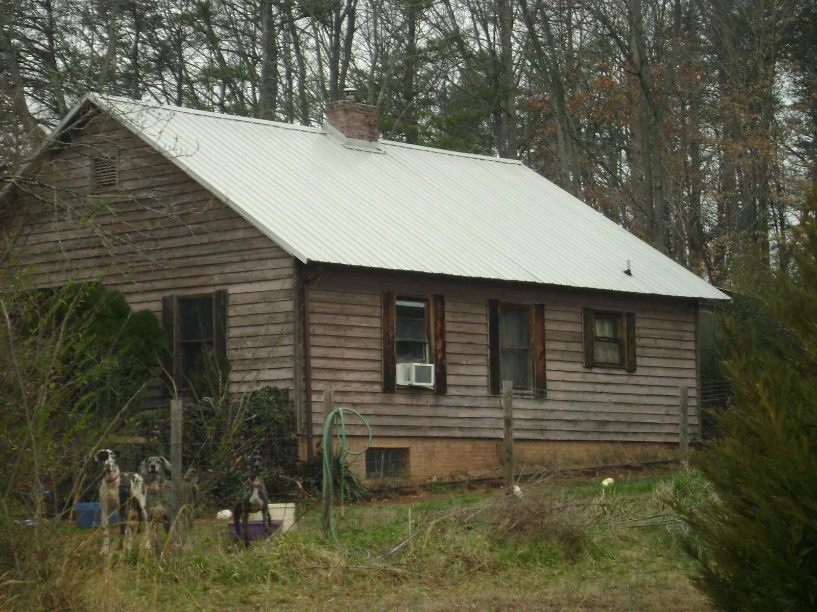 White metal roof on an old wood sided farmhouse, from a Asphalt Shingle Roof Repair job in Wrightwood